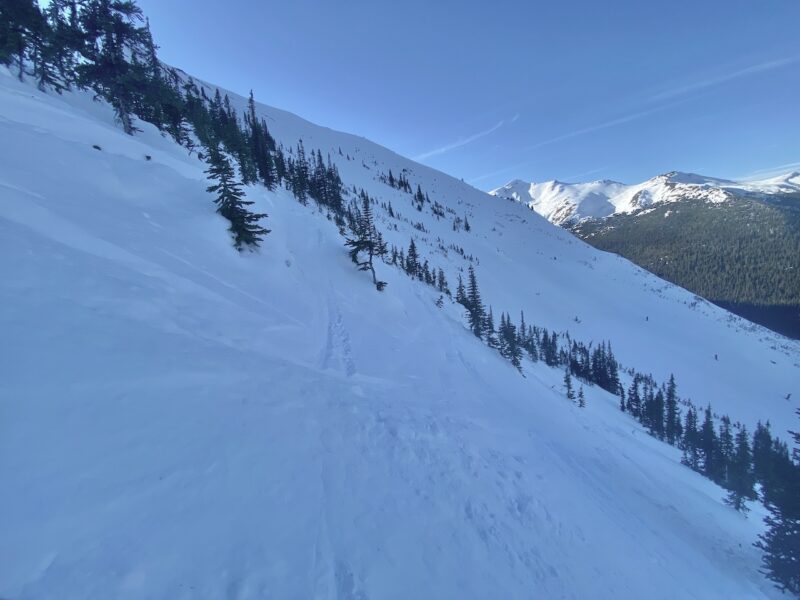 Marmot Basin, Jasper, Canada. Image © PlanetSKI